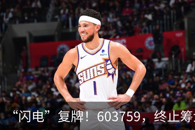 “闪电”复牌！603759，终止筹划重大事项